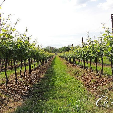 Agriturismo Ca'Mattei ペスカンティーナ エクステリア 写真