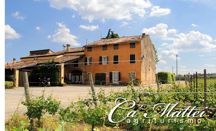Agriturismo Ca'Mattei ペスカンティーナ エクステリア 写真