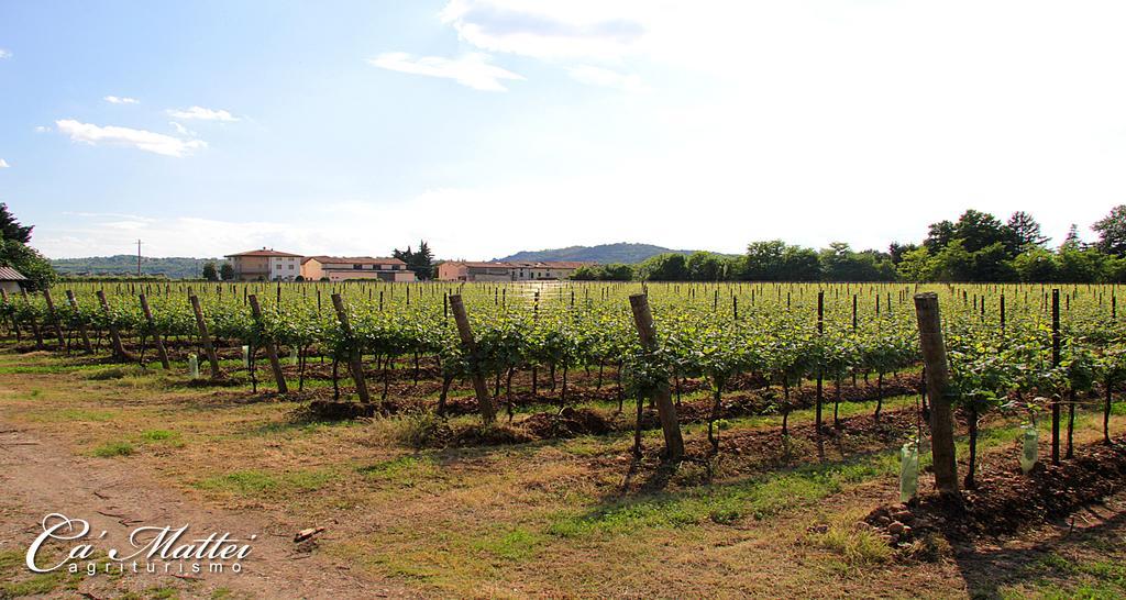 Agriturismo Ca'Mattei ペスカンティーナ エクステリア 写真